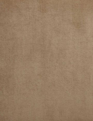 Caramel Vintage Velvet Swatch