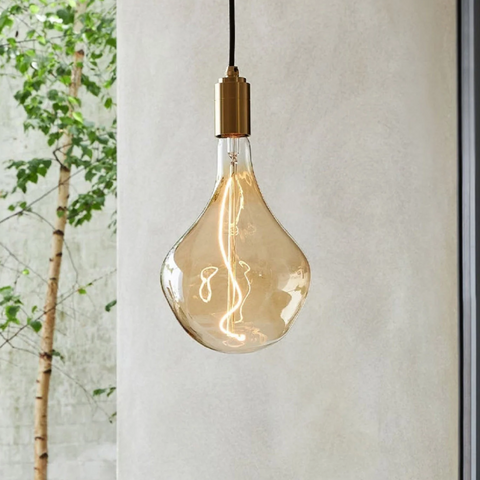Light Bulbs + Accessories