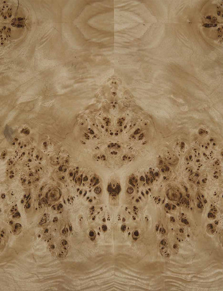 | Close-up of burl wood