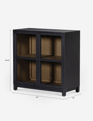 Carly Small Curio Cabinet : Black