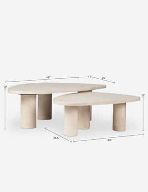 Mariano Nesting Coffee Table (Set of 2) : Merlot Marble
