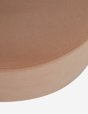 Open Box: Judson Dining Chair, Blush Performance Velvet