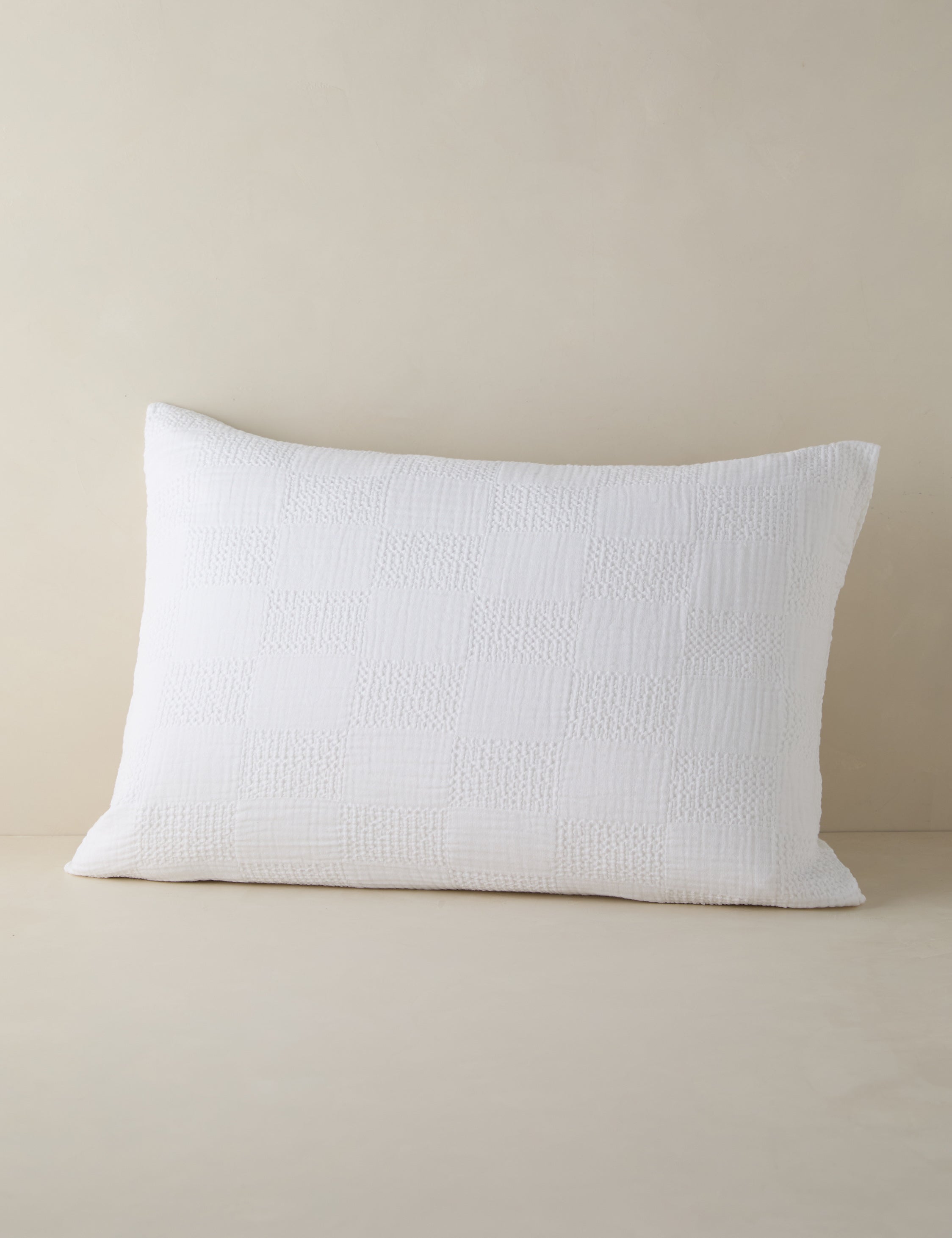 #color::white #size::standard