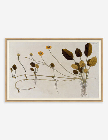 Floral + Botanical Wall Art Sets