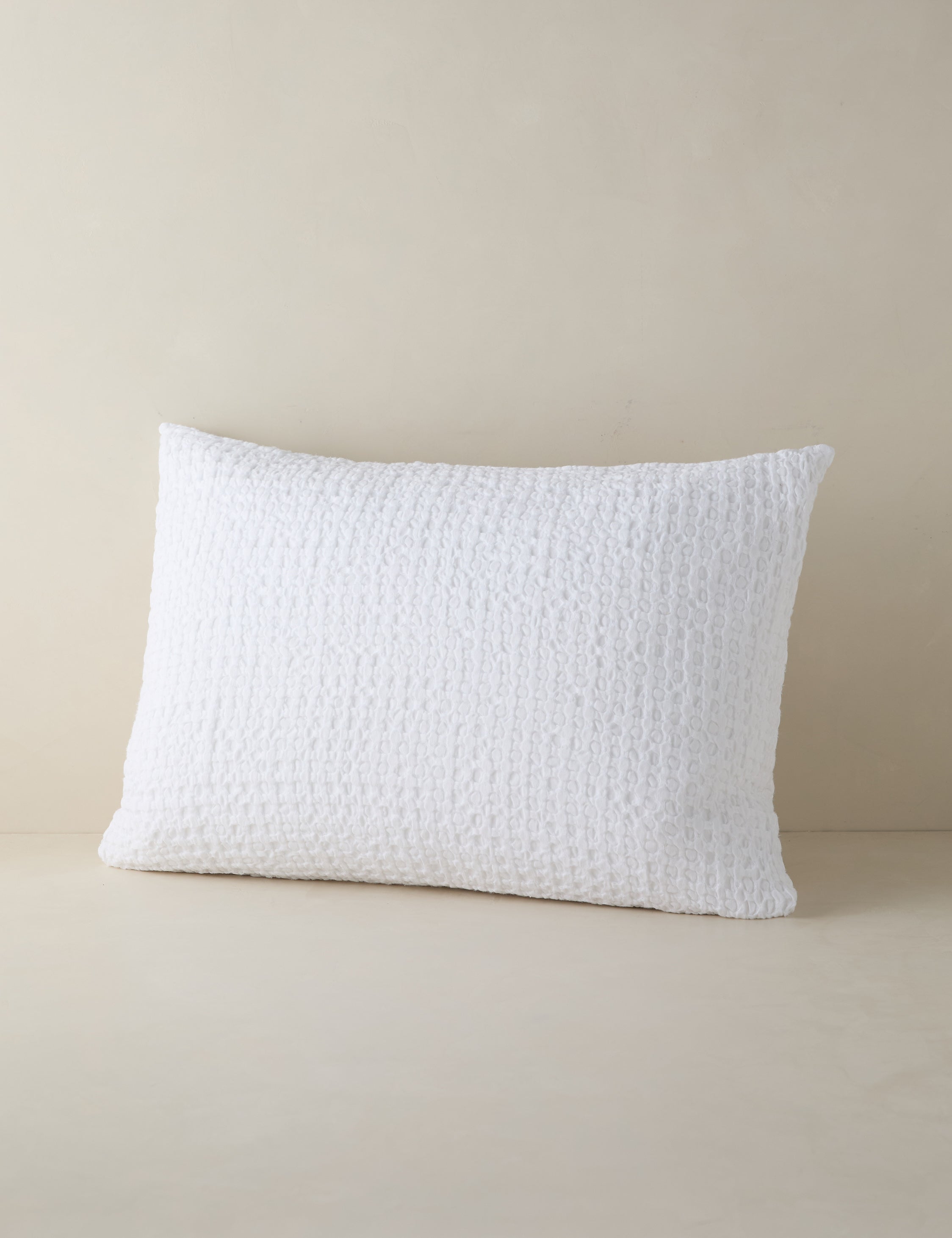 #color::white #size::standard