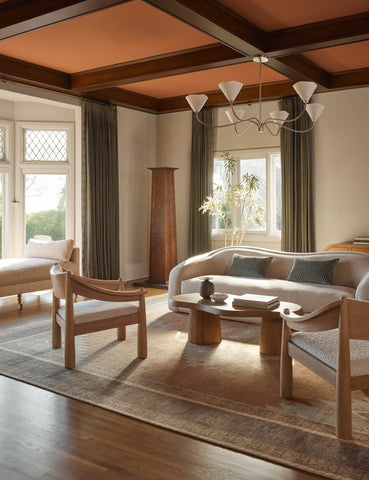 Brown Color Rugs