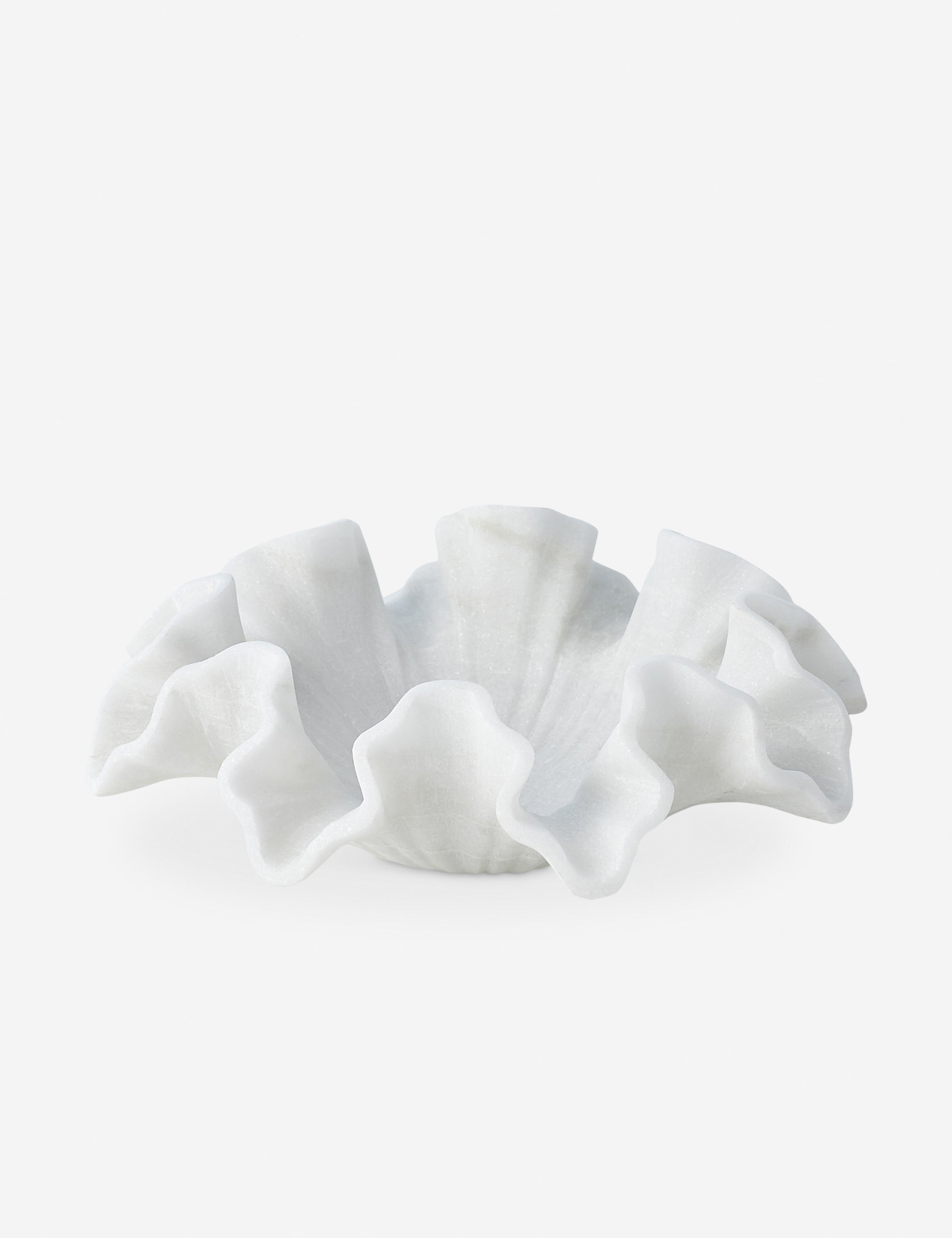 #color::white
