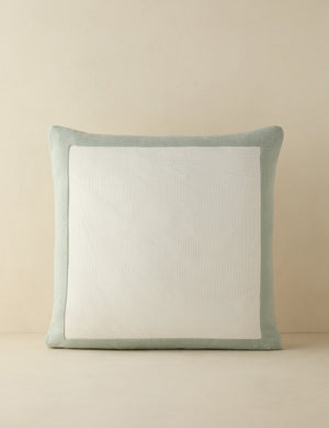 Amica color border outdoor pillow