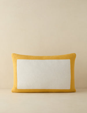 Amica color border outdoor pillow