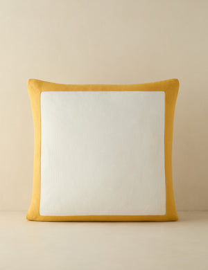Amica color border outdoor pillow