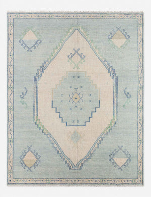 Berker turkish-inspired hand-knotted wool rug.