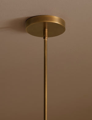 Camas Pendant Light