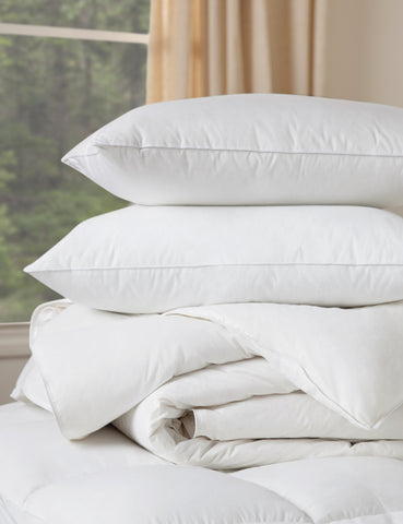 Duvet + Bed Pillow Inserts