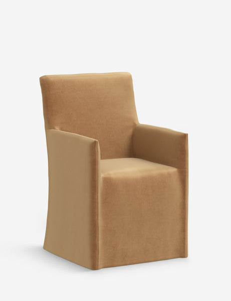 #color::caramel-vintage-velvet