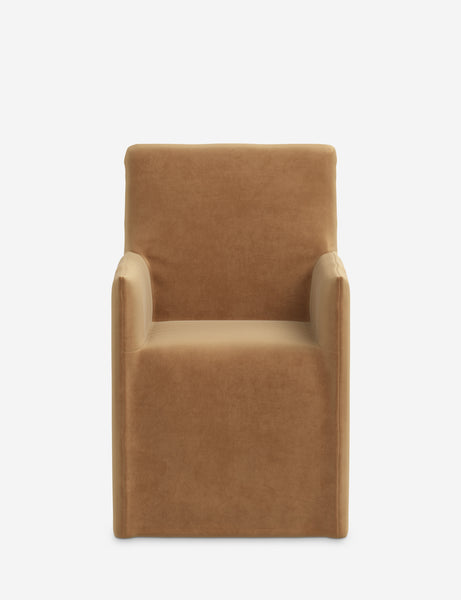 #color::caramel-vintage-velvet