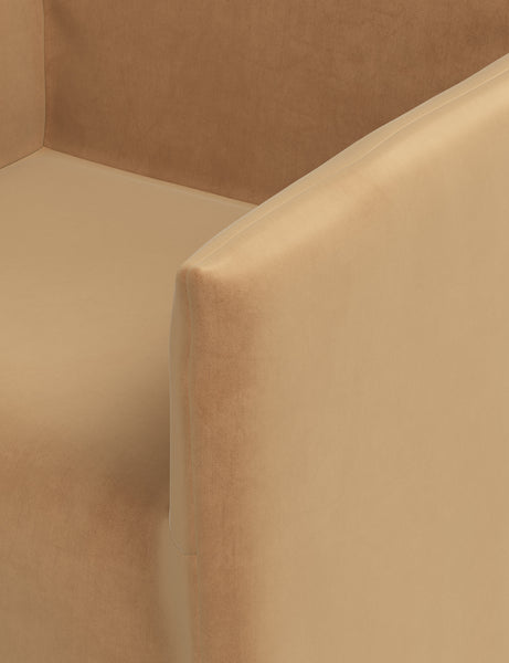 #color::caramel-vintage-velvet