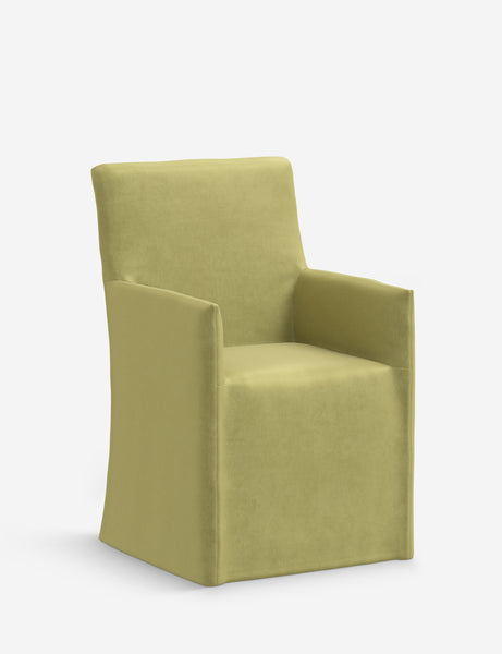 #color::citron-vintage-velvet