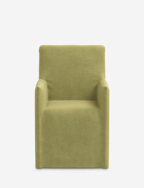 #color::citron-vintage-velvet