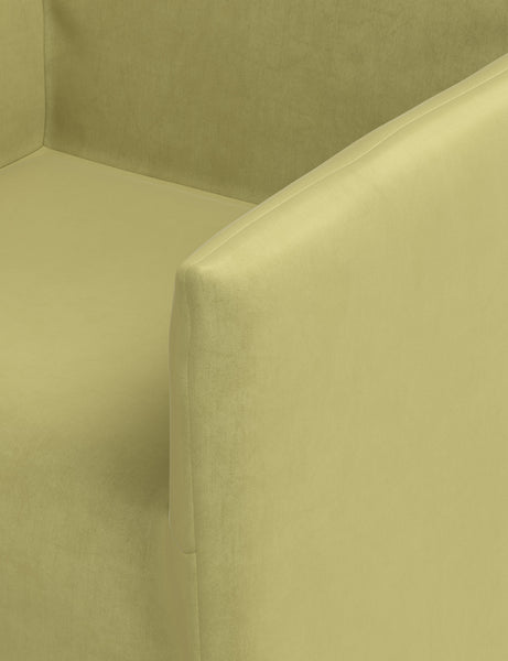 #color::citron-vintage-velvet