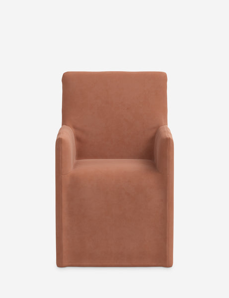 #color::rose-vintage-velvet