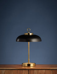#color::bronze