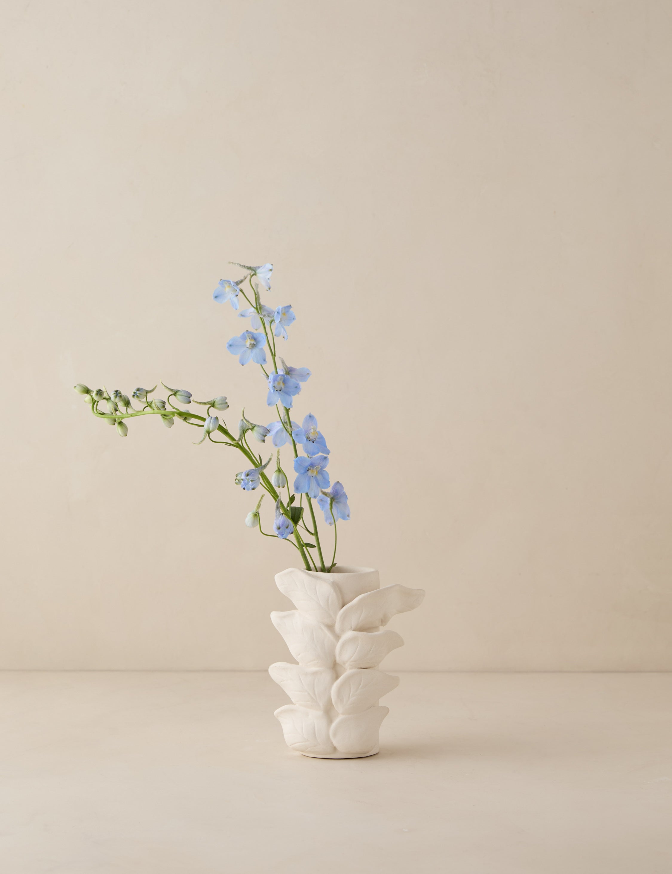 #color::ivory