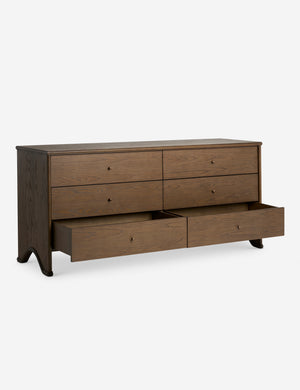 Steffi Dresser