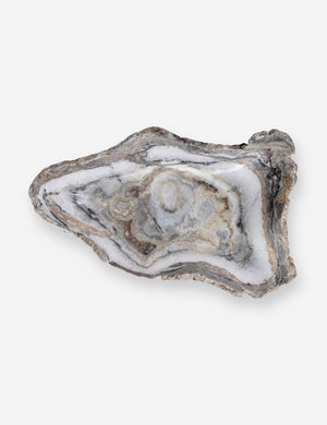 Noki Petrified Wood Bowl