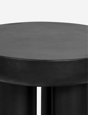 Peagan Indoor / Outdoor Round Side Table