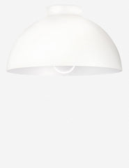 #color::white