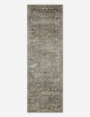 Amalia distressed traditional rug in its runner size