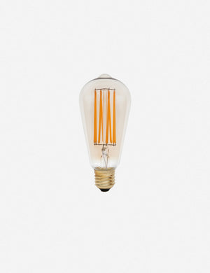 Squirrel Cage 3W LED Bulb (Set of 2) by Tala